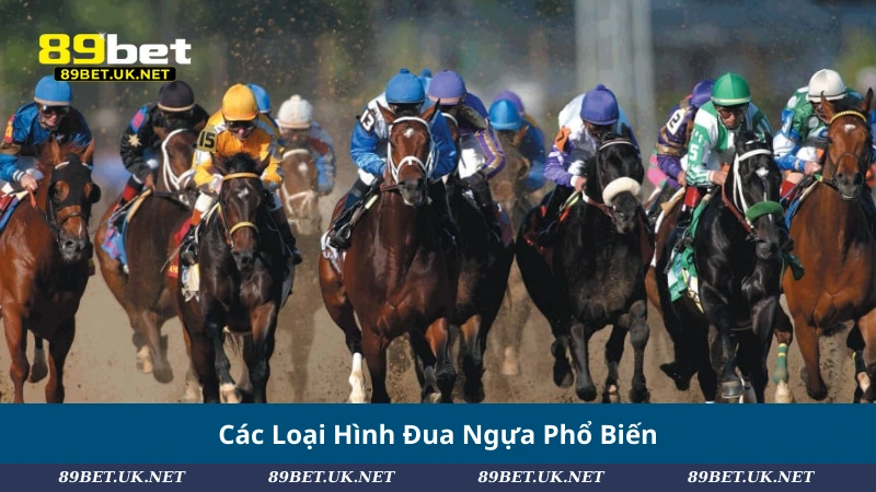 Khám Phá Đua Ngựa: Cách Chơi, Loại Kèo Và Chiến Lược Hiệu Quả Các Loại Hình Đua Ngựa Phổ Biến
