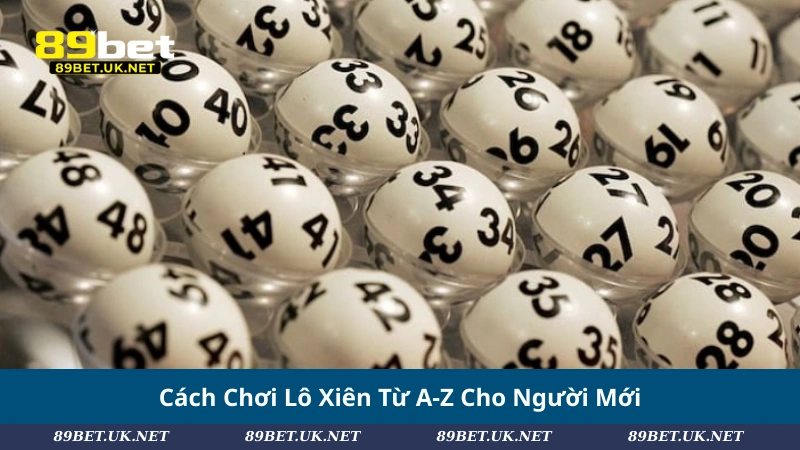 Lô Xiên: Hướng Dẫn Toàn Tập Cách Chơi & Bắt Số Chuẩn Cách Chơi Lô Xiên Từ A-Z Cho Người Mới