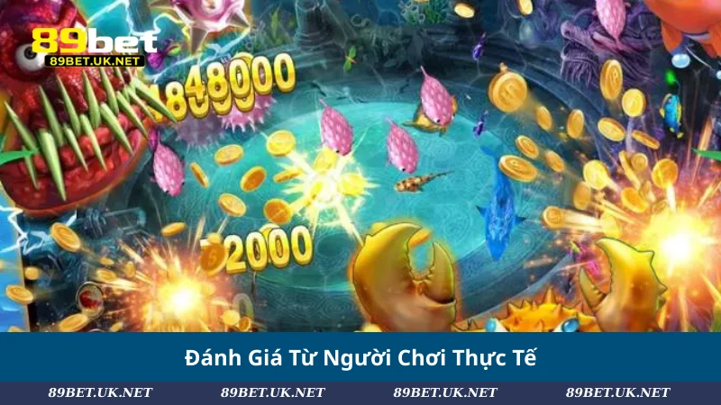 Đánh Giá Từ Người Chơi Thực Tế
