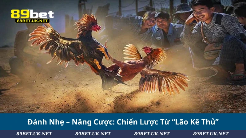 Bật Mí #5 Mẹo Đá Gà Online Giúp Bạn Làm Chủ Mọi Trận Đấu Đánh Nhẹ – Nâng Cược_ Chiến Lược Từ “Lão Kê Thủ”