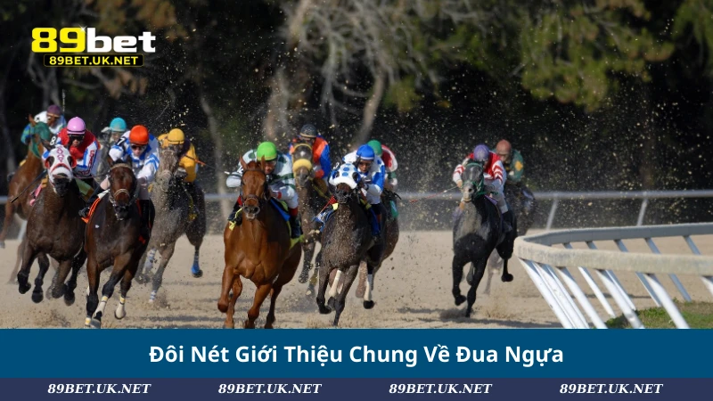 Khám Phá Đua Ngựa: Cách Chơi, Loại Kèo Và Chiến Lược Hiệu Quả Đôi Nét Giới Thiệu Chung Về Đua Ngựa