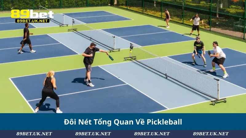 Luật Chơi Pickleball: Hướng Dẫn Toàn Tập Cho Người Mới Đôi Nét Tổng Quan Về Pickleball