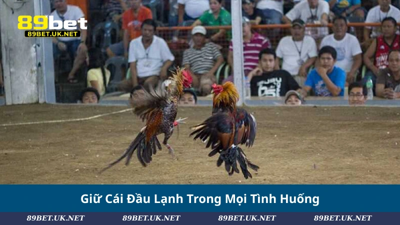 Giữ Cái Đầu Lạnh Trong Mọi Tình Huống