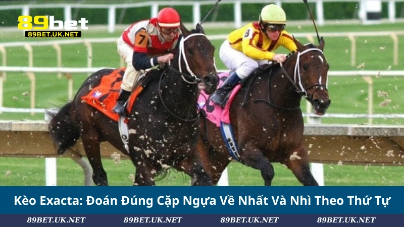 Khám Phá Đua Ngựa: Cách Chơi, Loại Kèo Và Chiến Lược Hiệu Quả Kèo Exacta: Đoán Đúng Cặp Ngựa Về Nhất Và Nhì Theo Thứ Tự