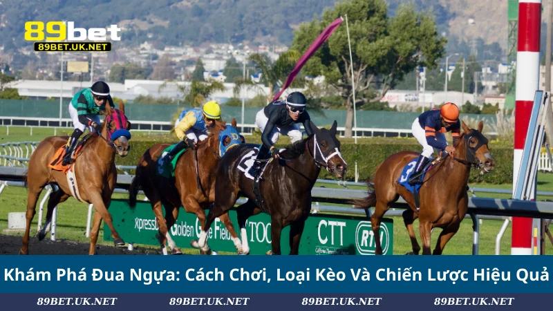Khám Phá Đua Ngựa: Cách Chơi, Loại Kèo Và Chiến Lược Hiệu Quả Khám Phá Đua Ngựa: Cách Chơi, Loại Kèo Và Chiến Lược Hiệu Quả