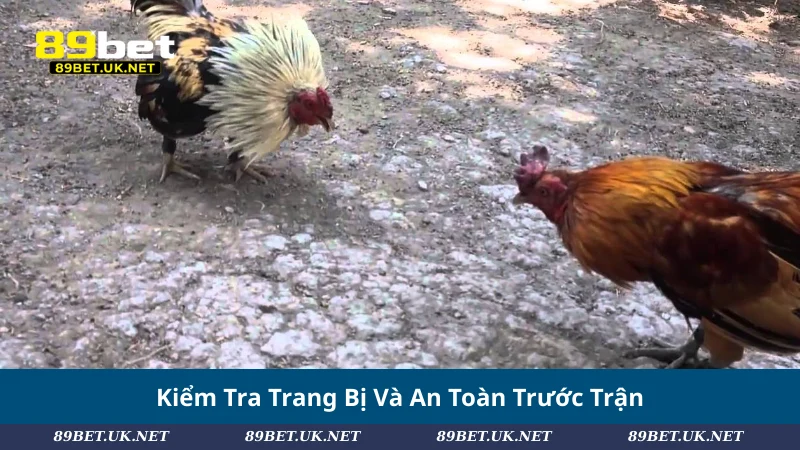 Kiểm Tra Trang Bị Và An Toàn Trước Trận