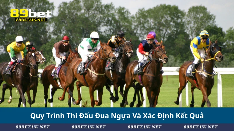 Khám Phá Đua Ngựa: Cách Chơi, Loại Kèo Và Chiến Lược Hiệu Quả Quy Trình Thi Đấu Đua Ngựa Và Xác Định Kết Quả